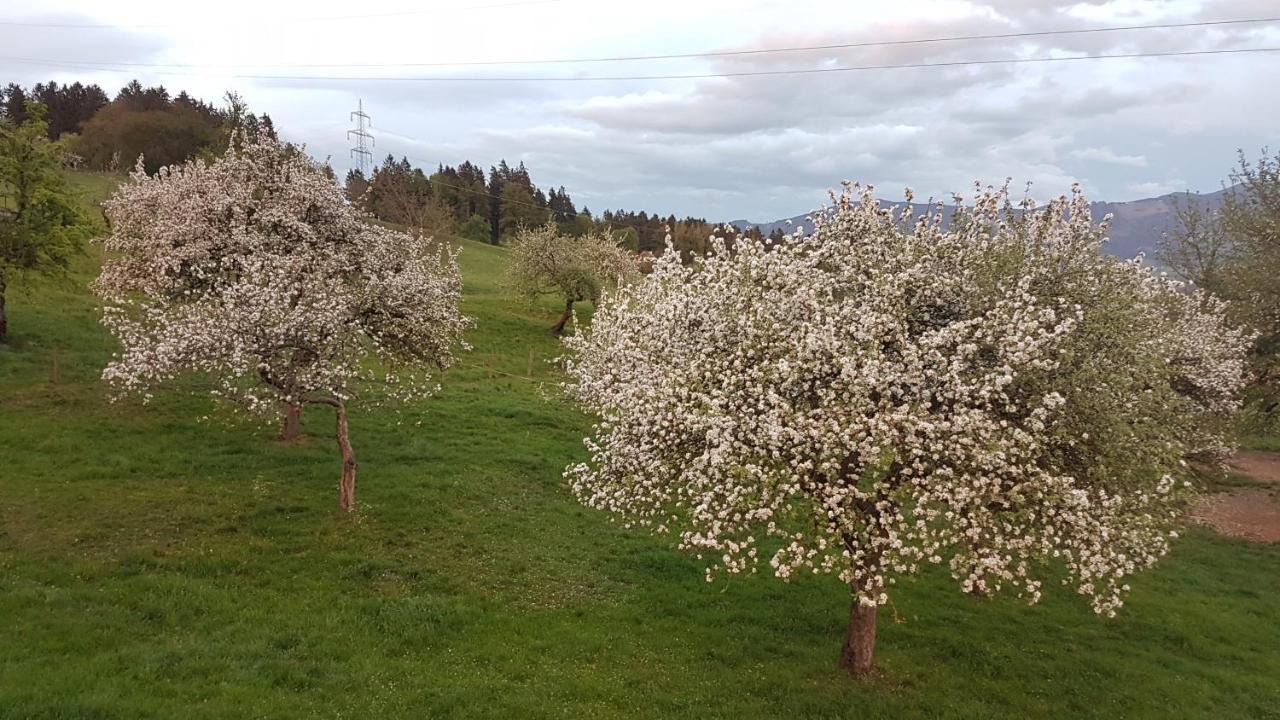 Ferienwohnungen Klimbacher Wolfsberg Eksteriør bilde