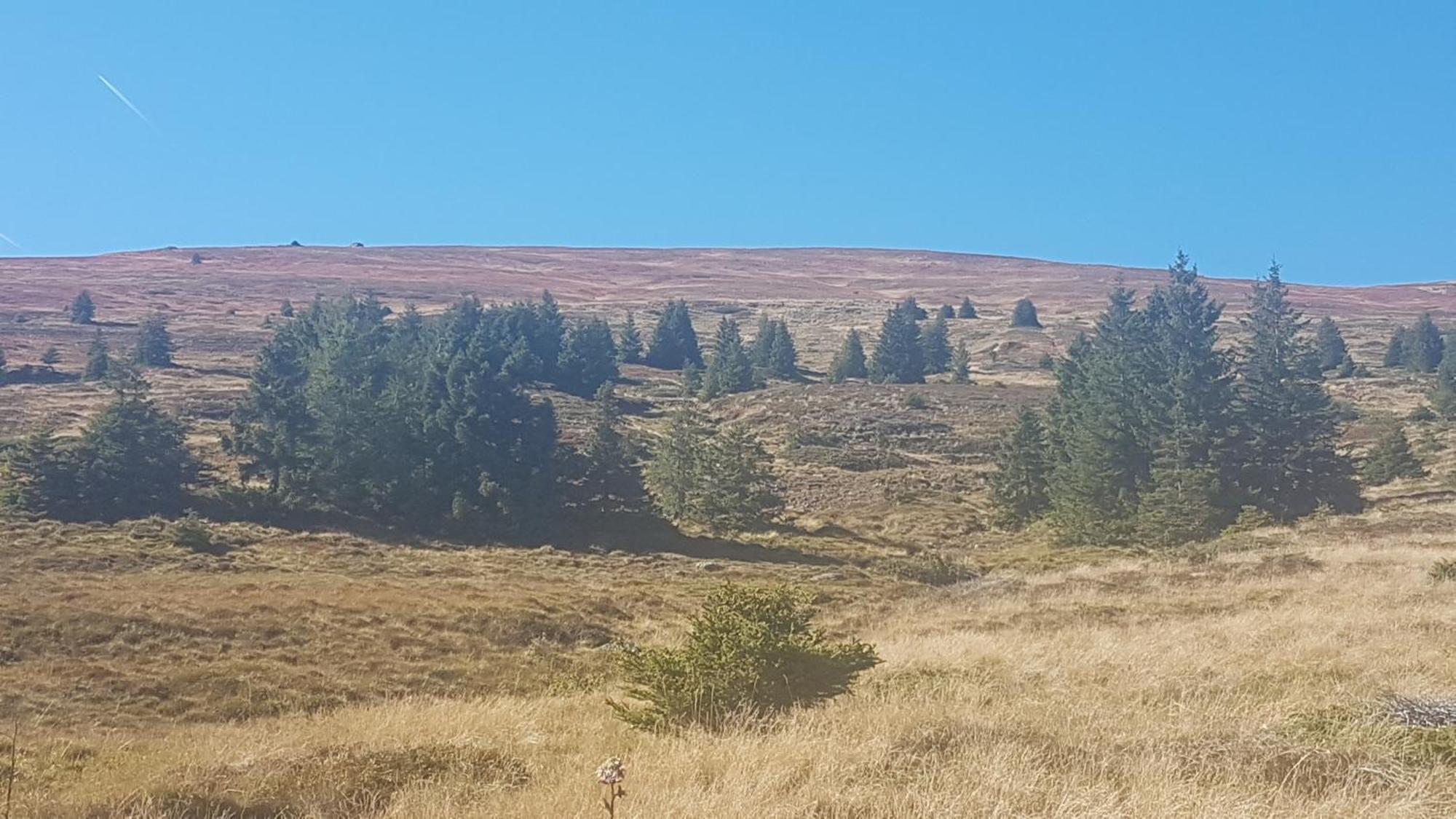 Ferienwohnungen Klimbacher Wolfsberg Rom bilde