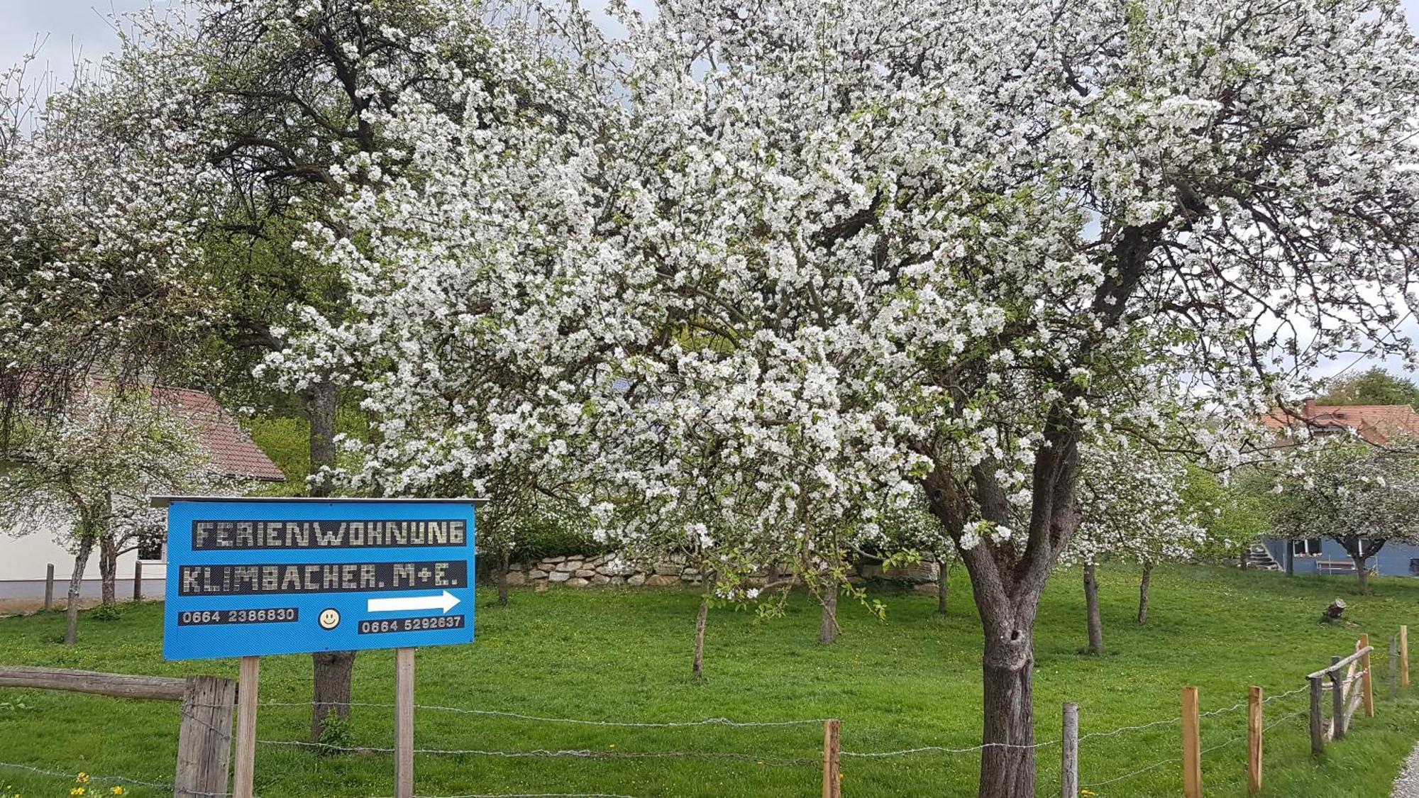 Ferienwohnungen Klimbacher Wolfsberg Rom bilde
